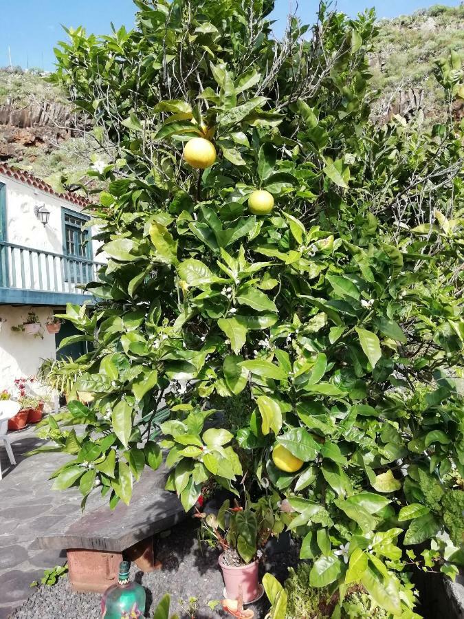 Große Finca 19Jh, Pool, Terrasse, nahe Santa Cruz Santa Cruz de la Palma  Exterior foto
